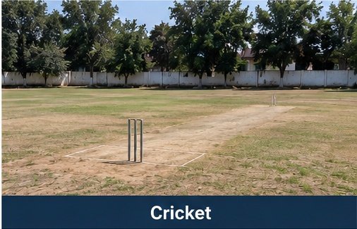 Cricket